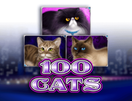 100 Cats